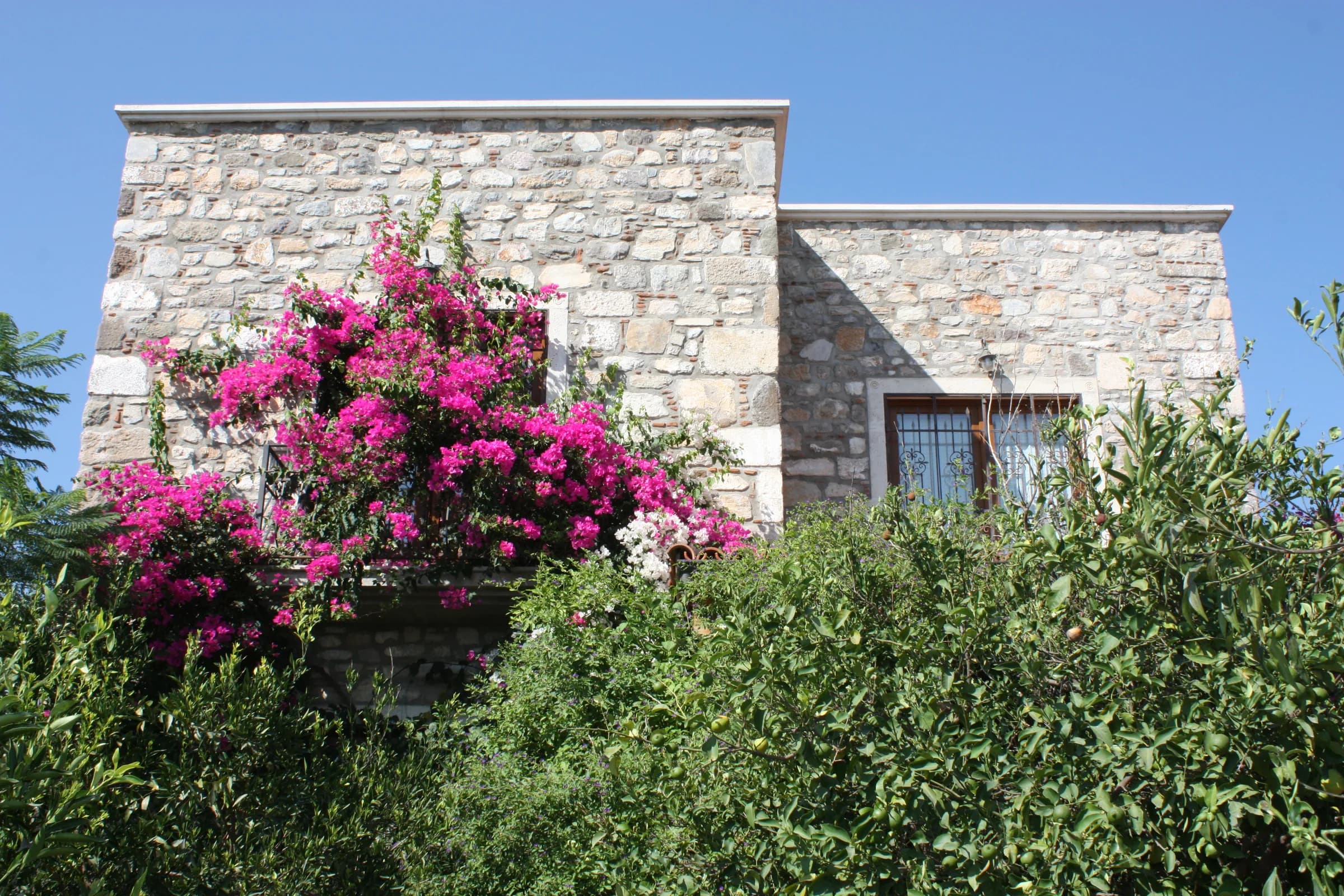 Bodrum Bitez Villa Mandarin özel havuzlu villa galeri gorseli 4